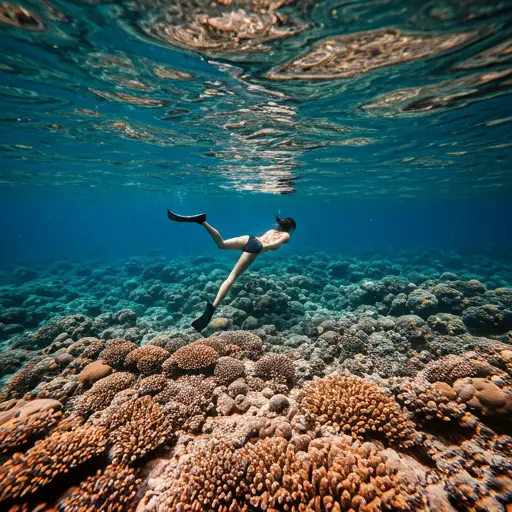 Snorkeling Gili Meno